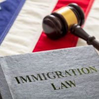 ImmiLaw